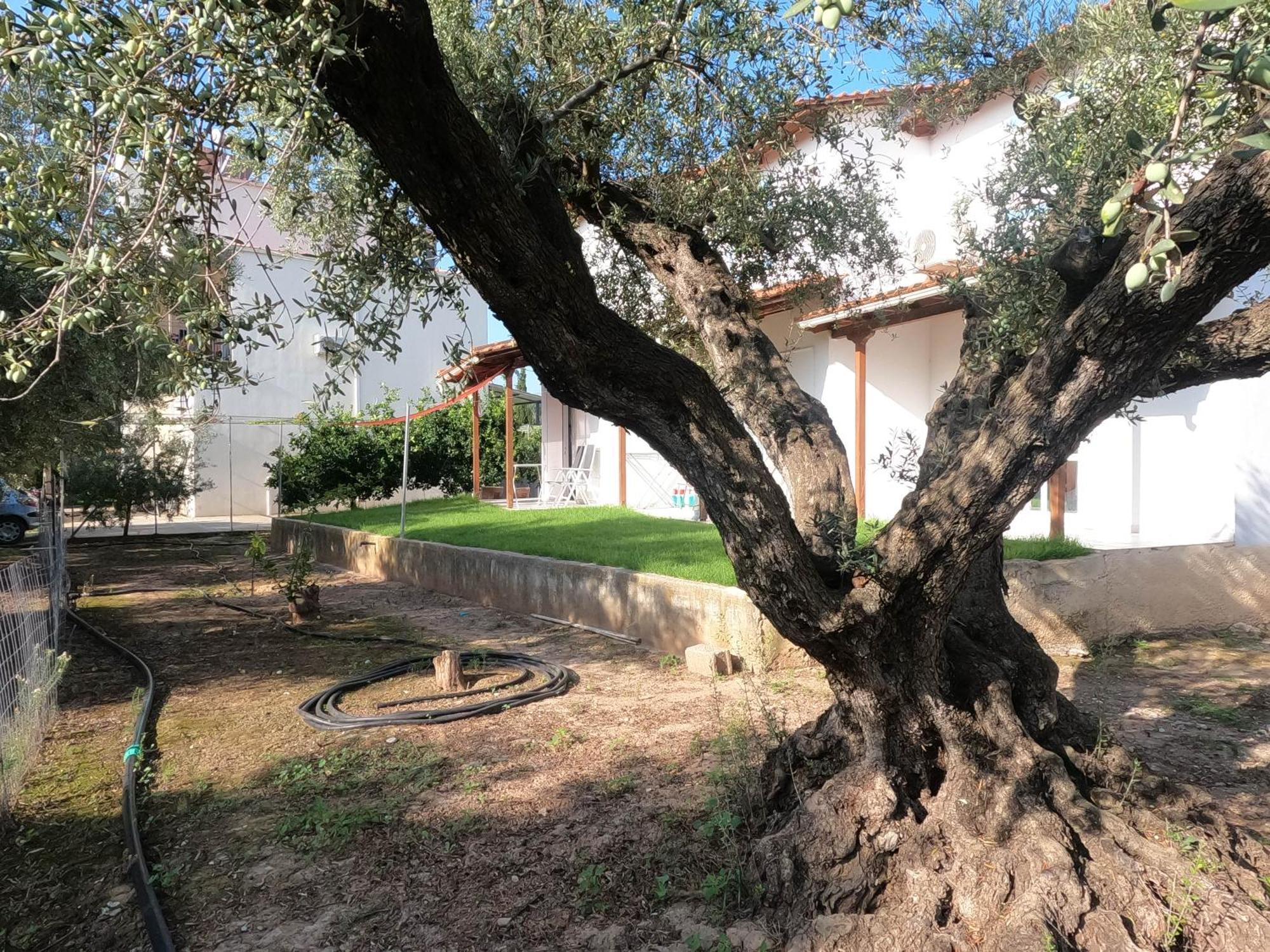 Spiti Ostria Villa Aigio Exterior foto